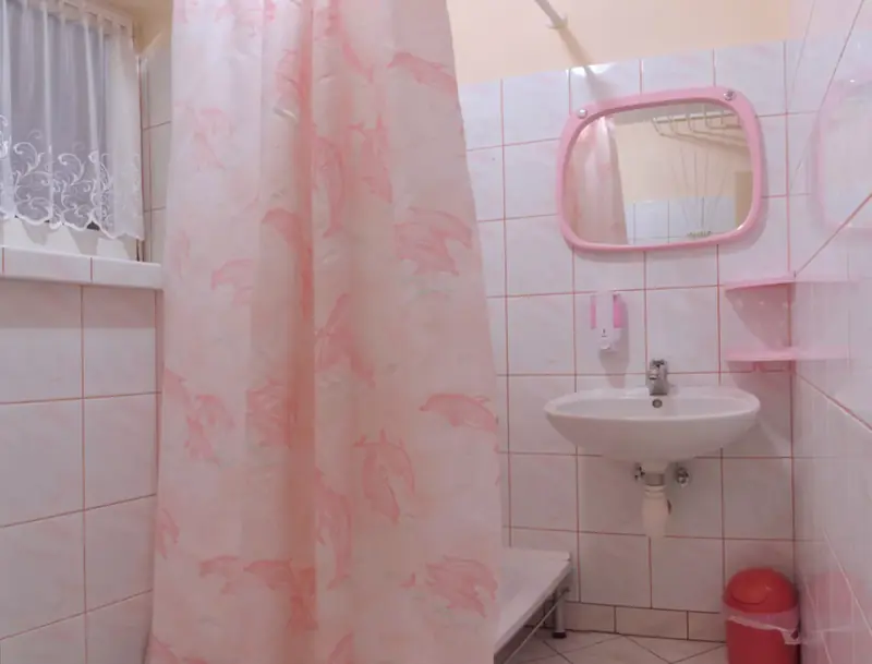 Prywatna łazienka z prysznicem w Apartamencie Krokus