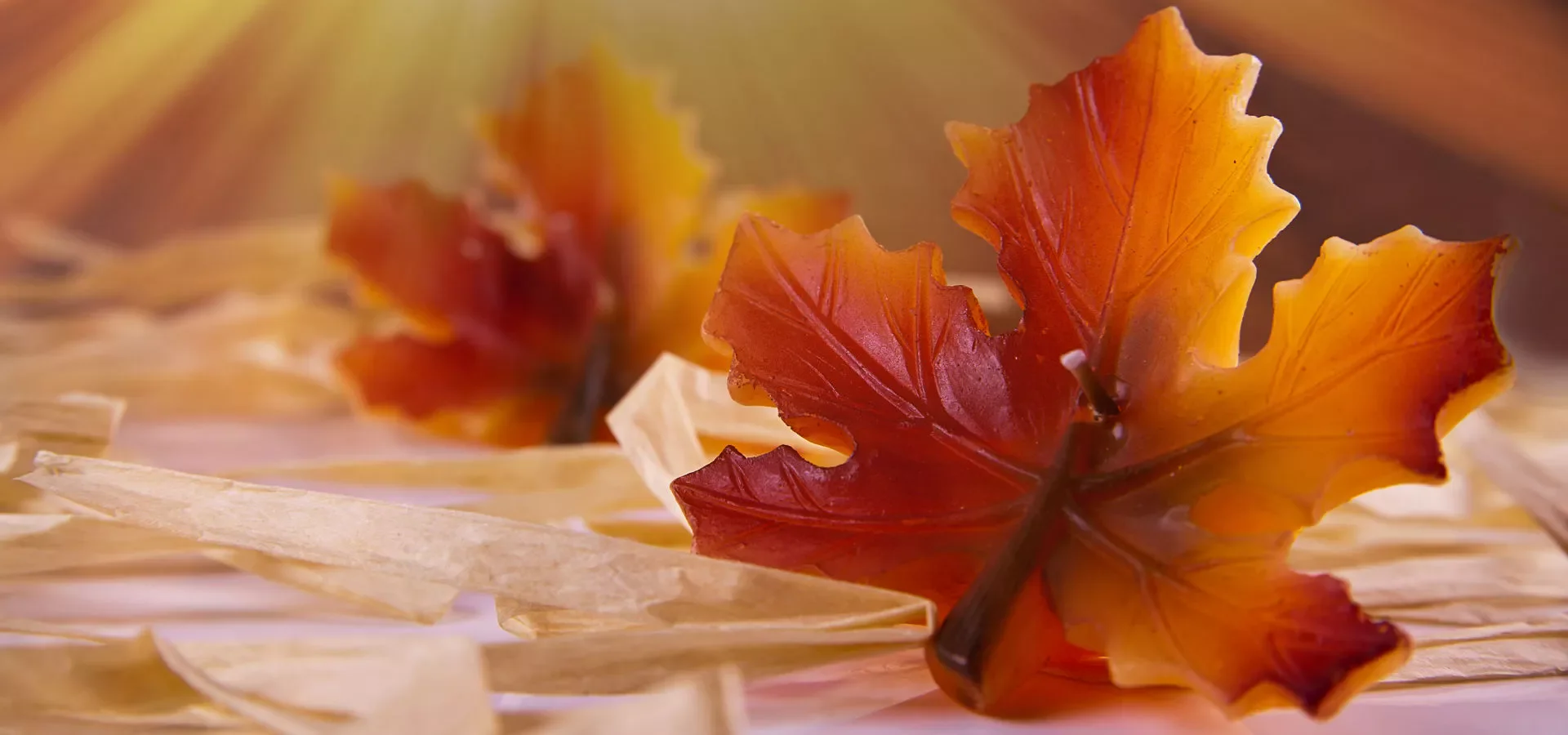 Autumn leaves symbolising a November weekend in the mountains