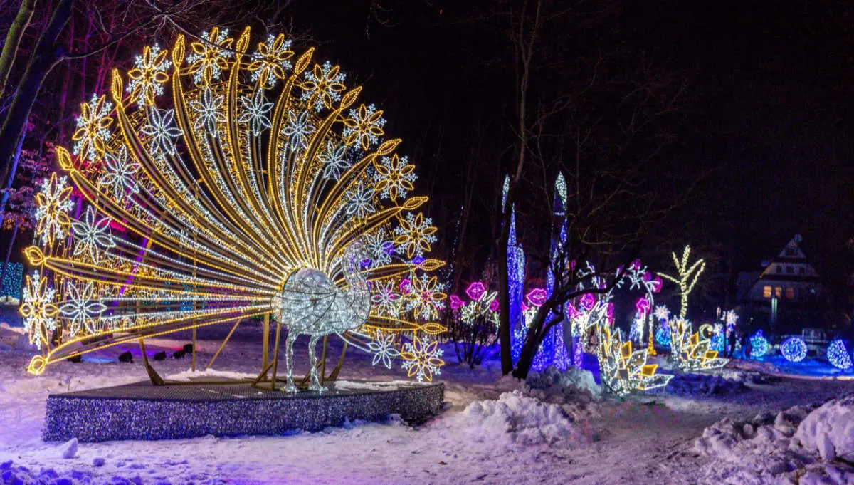 Kolorowe iluminacje w Parku Miliona Świateł w Zakopanem