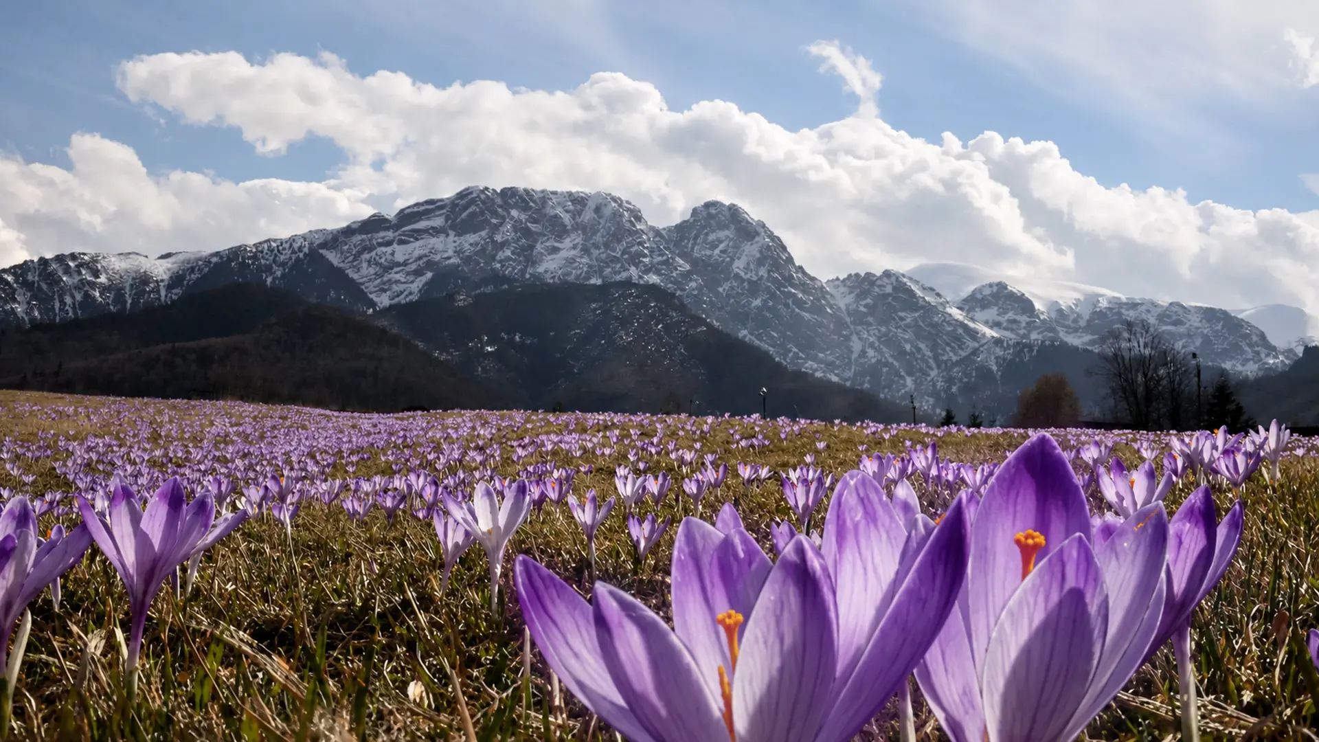 Panorama Tatr i Giewont